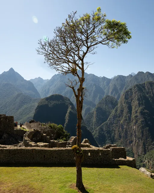 Machu Picchu